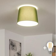 Brilagi - LED Przysufitowy żyrandol CERIA 1xE27/40W/230V średnica 30 cm zielony