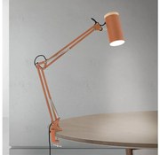 Orion - Lampka biurkowa z klipsem GILI 1xE27/40W/230V ceglana