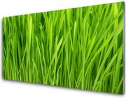 Panel nad blat kuchenny Naturalna Tekstura Zieleni