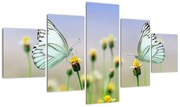 Obraz motyli na kwiatku (125x70 cm)
