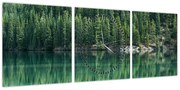Obraz - drzewa iglaste nad jeziorem (z zegarem) (90x30 cm)