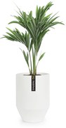 Fox & Fern Almere Doniczka