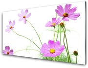 Panel Kuchenny Kwiaty Roślina