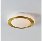 Eglo 900369 - LED sufitowe światło łazienkowe CARPI LED/10,8W/230V IP44