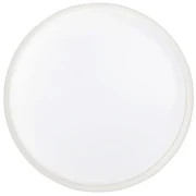 LED Plafon LED/20W/230V IP65