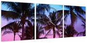 Obraz - Palmy w Miami (z zegarem) (90x30 cm)