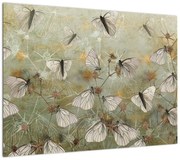 Obraz - Vintage motyle (70x50 cm)