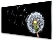 Panel Szklany Dmuchawce Kwiaty Natura