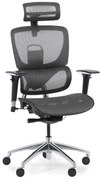 Krzesło biurowe wielofunkcyjne WINSTON SA, szary