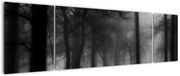 Obraz - Las we mgle (170x50 cm)