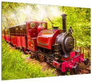 Obraz pociągu parowego (70x50 cm)