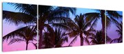 Obraz - Palmy w Miami (170x50 cm)