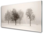 Obraz Akrylowy Śnieg Drzewa Krajobraz