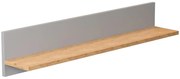 Klasyczna półka ścienna na książki szary + hikora T5-S51