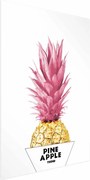 Plakat złotą ananas 60x90 cm bez ramy bez marginesu ARTGEIST B