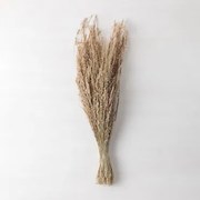 Gałązka Dekoracyjna Ainala Kolory Naturalne - Sklum