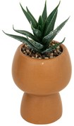 Sztuczny sukulent w doniczce, 17 cm