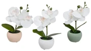 Sztuczne rośliny zestaw 3 szt. (wysokość 15 cm) Orchid – Casa Selección