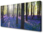Obraz na Płótnie Las Drzewa Natura