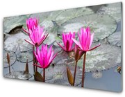 Obraz Akrylowy Kwiaty Roślina Natura