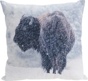 Poduszka Bizon, 45 x 45 cm