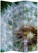 Parawan - Dmuchawiec (126x170 cm)