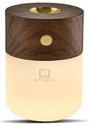 Elektryczny dyfuzor Smart – Gingko