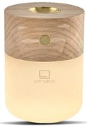 Elektryczny dyfuzor Smart – Gingko