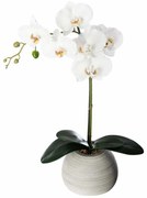 Sztuczny storczyk w doniczce ceramicznej, 50 cm