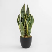 Sztuczna Roślina Dekoracyjna Sansevieria 40 Cm - Sklum