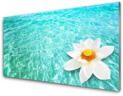 Obraz Akrylowy Woda Kwiat Sztuka