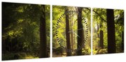 Obraz sennego lasu (z zegarem) (90x30 cm)