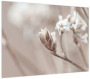Obraz - Szczegół gałęzi (70x50 cm)