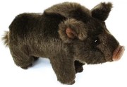 Rappa Pluszowy dzik, 20 cm