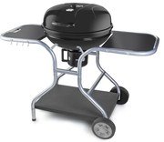 Fieldmann FZG 1014 Grill na węgiel drzewny