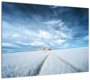 Obraz pola (70x50 cm)