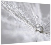 Obraz - Kropla wody (70x50 cm)