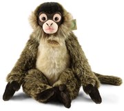 Rappa Pluszowy chapan 30 cm ECO-FRIENDLY