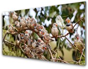 Obraz Akrylowy Ptaki Zwierzęta