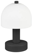 Czarno-biała lampa stołowa ze szklanym kloszem (wysokość 19 cm) Glenn – Trio