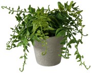 Sztuczna roślina w cementowej doniczce FERN, 17 cm