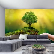 Fototapeta - Dar natury (196x136 cm)