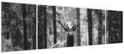 Obraz - Jeleń w lesie 2, czarno - biały (170x50 cm)