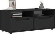 Mebel TV VISNES czarny 100x40x38 cm z 2 szufladami i 2 półkami