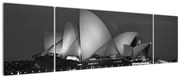 Obraz Opery w Sydney (170x50 cm)