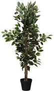 Sztuczne drzewko Fikus w czarnej doniczce, 115 cm
