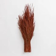 Ramo Dekoracyjny Dimka Chocolate & Blk Frame - Sklum