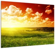 Obraz letniej łąki (70x50 cm)