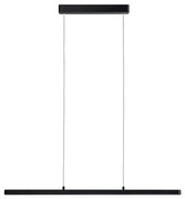 Paulmann 79694 - LED/40W Ściemnialny żyrandol na lince LENTO 230V