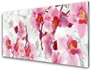 Obraz Akrylowy Kwiaty Roślina Natura